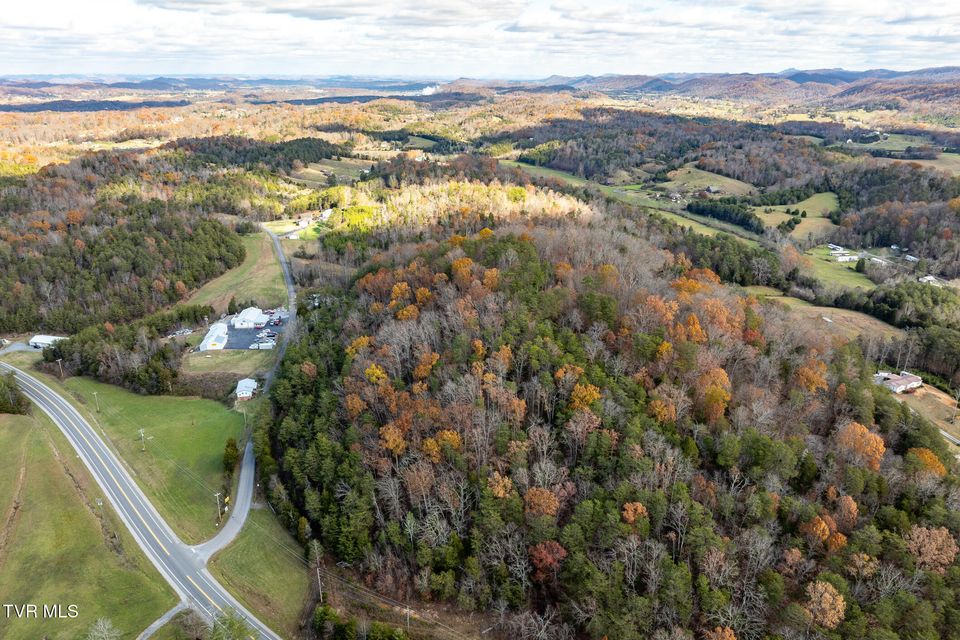 Photo #8: 00 Fork Branch Road