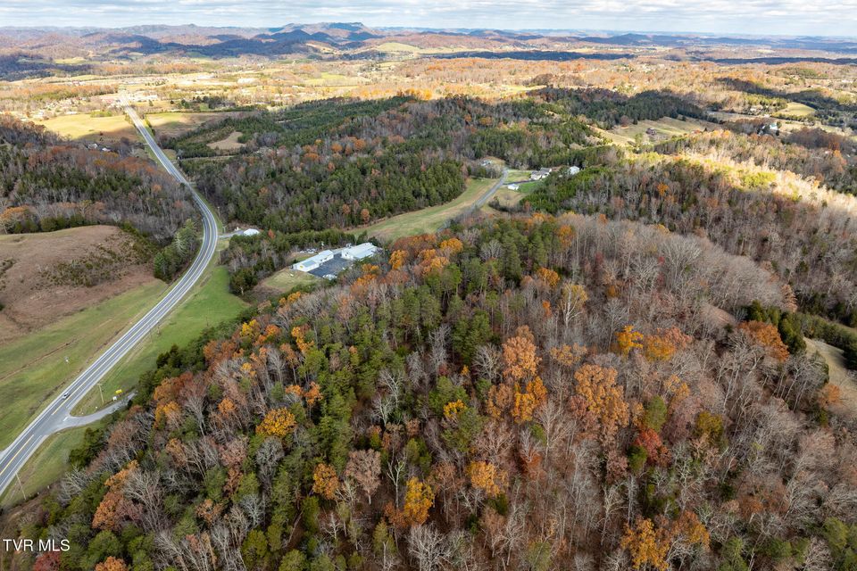 Photo #10: 00 Fork Branch Road