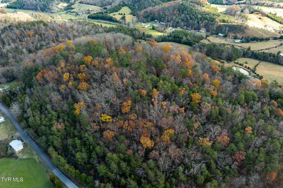 Photo #11: 00 Fork Branch Road