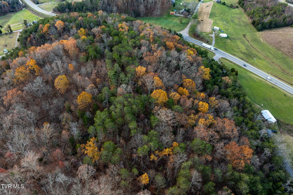 Photo #17: 00 Fork Branch Road