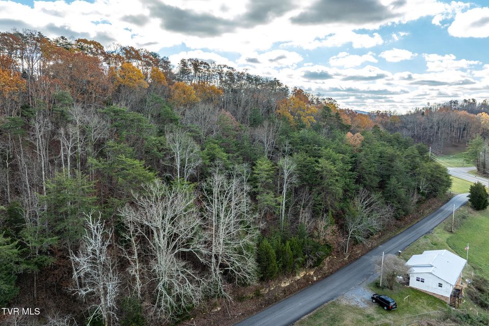 Photo #19: 00 Fork Branch Road