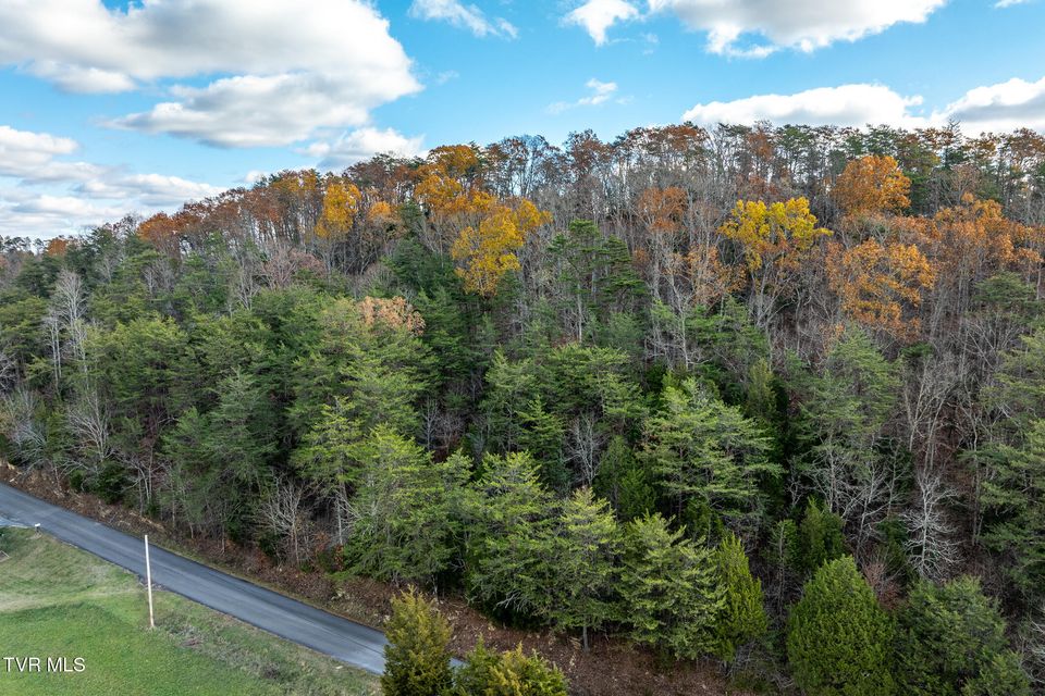 Photo #21: 00 Fork Branch Road