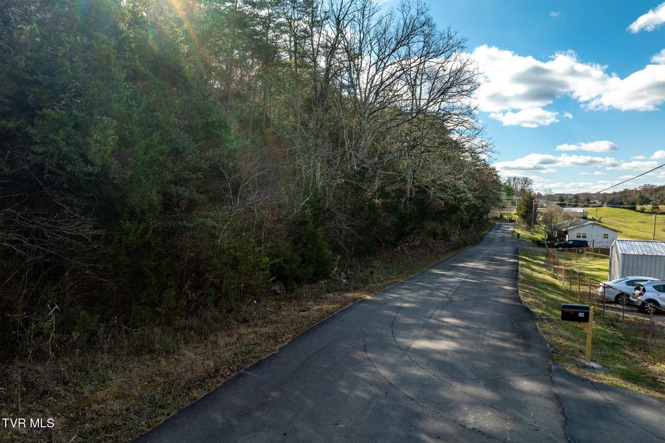 Photo #22: 00 Fork Branch Road