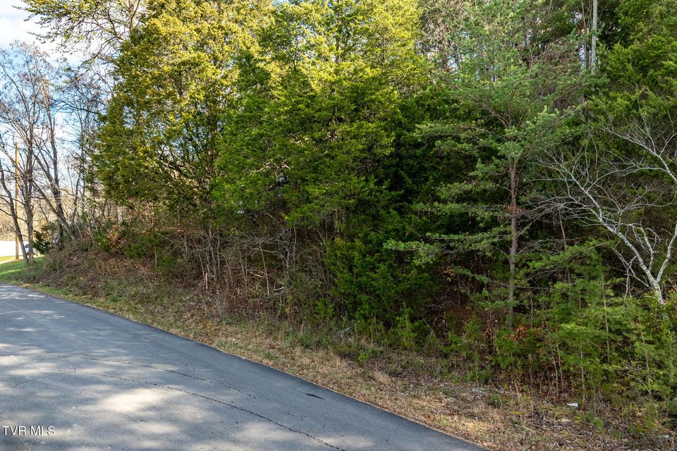 Photo #24: 00 Fork Branch Road