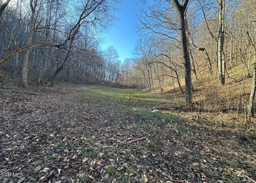 Photo #13: Tbd Lick Creek Drive