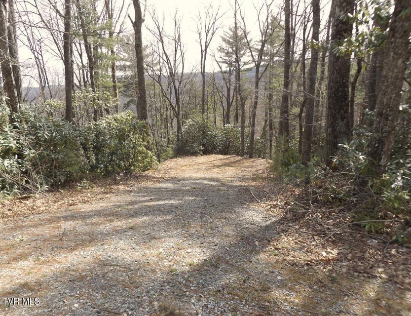 Photo #2: 704 Heartwood  Lot 55 Lane