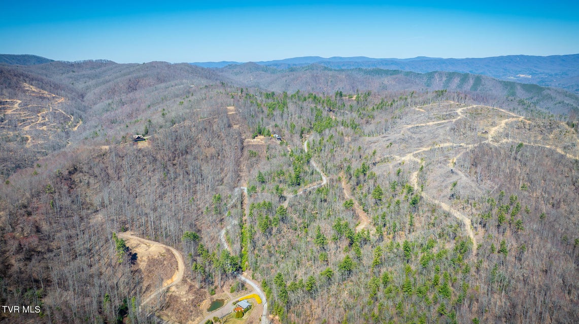 Photo #5: 704 Heartwood  Lot 55 Lane