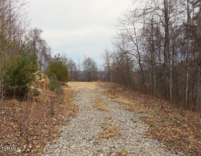 Photo #2: 1012 Locust Lot 40 Lane