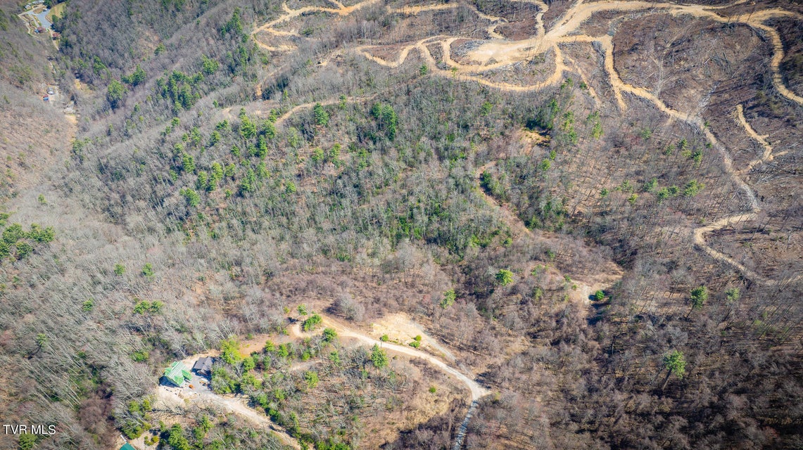 Photo #3: 1012 Locust Lot 40 Lane