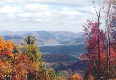 Photo #9: 1012 Locust Lot 40 Lane