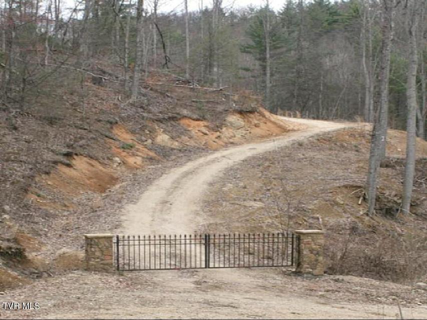 Photo #2: 306 Honeymoon Lot 68 Hollow