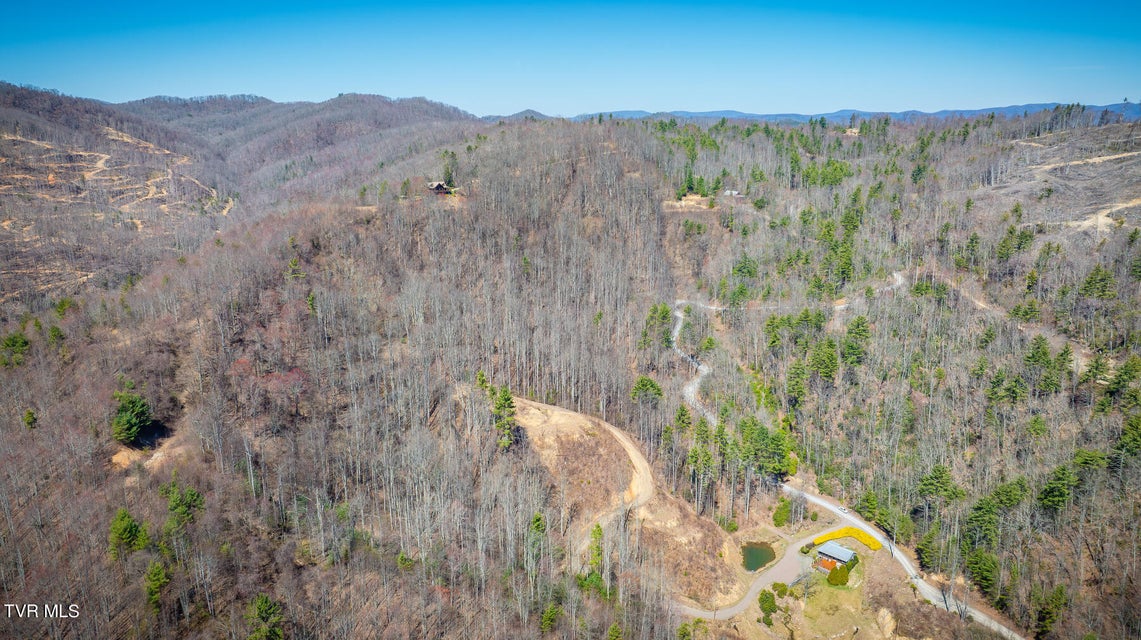 Photo #6: 306 Honeymoon Lot 68 Hollow