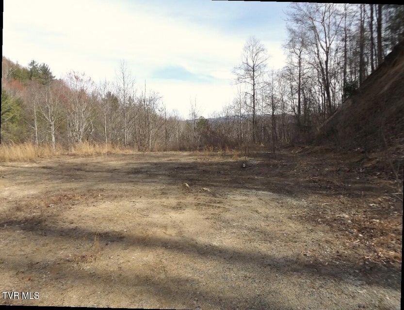 Photo #2: 303 Honeymoon  Lot 59 Hollow