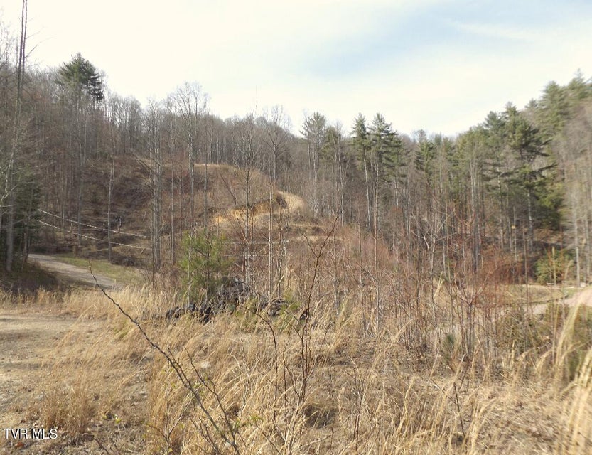 Photo #3: 303 Honeymoon  Lot 59 Hollow