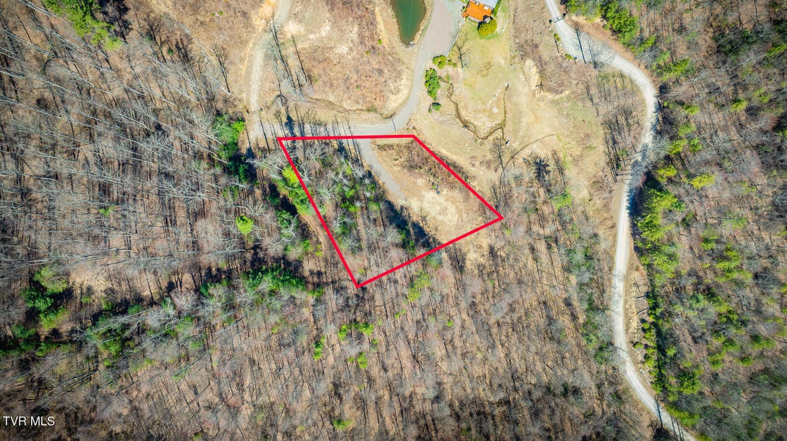 Photo #4: 303 Honeymoon  Lot 59 Hollow