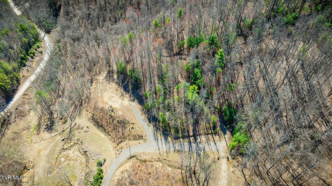 Photo #5: 303 Honeymoon  Lot 59 Hollow