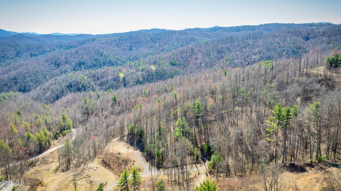 Photo #6: 303 Honeymoon  Lot 59 Hollow