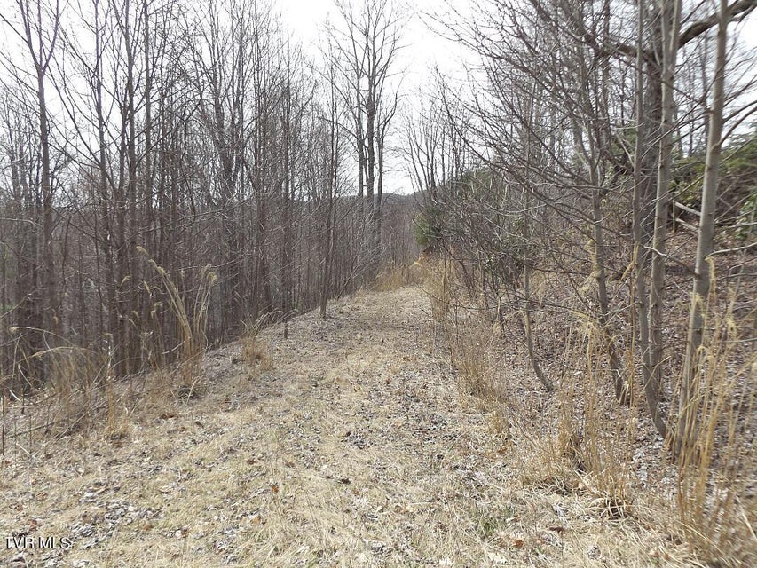 Photo #2: 1213 Mays Ridge  Lot 17 Road