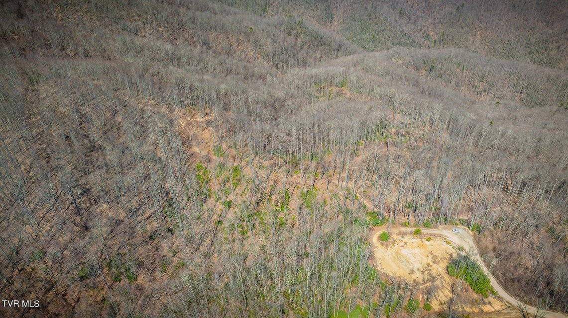 Photo #5: 1213 Mays Ridge  Lot 17 Road