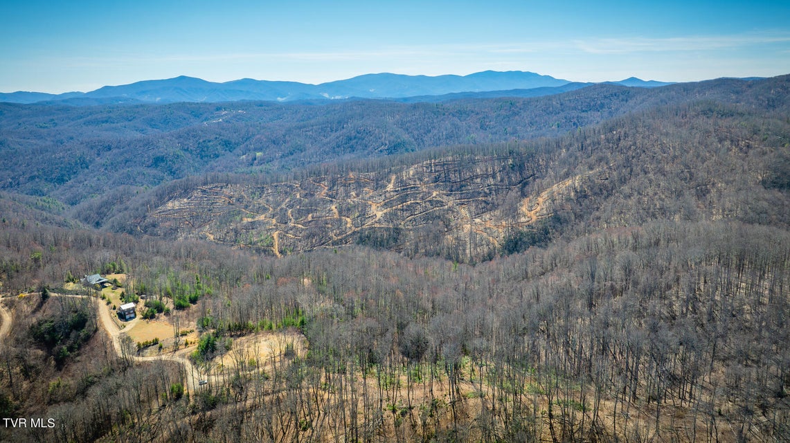 Photo #7: 1213 Mays Ridge  Lot 17 Road