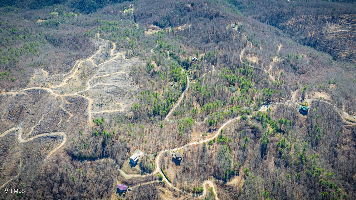 Photo #8: 1213 Mays Ridge  Lot 17 Road