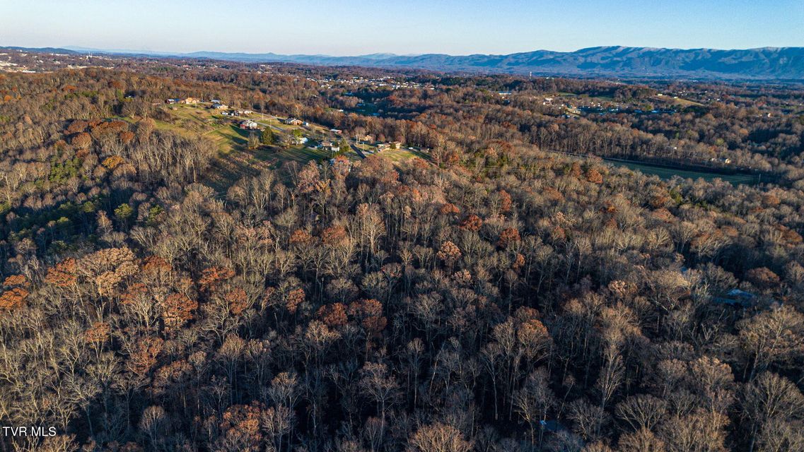 Photo #51: 218 Panoramic View Drive