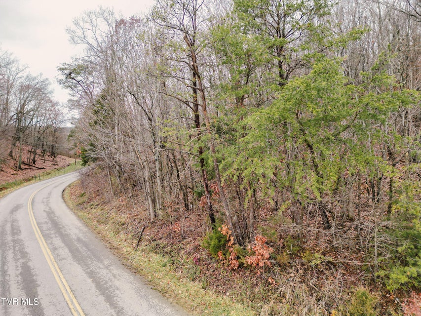 Photo #2: Lot 2 Old Knoxville Highway