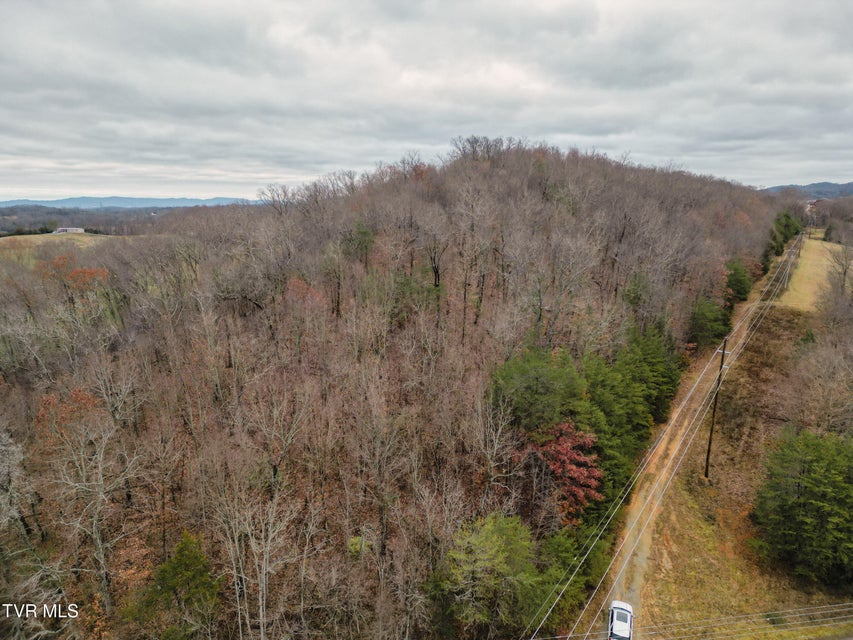 Photo #3: Lot 2 Old Knoxville Highway