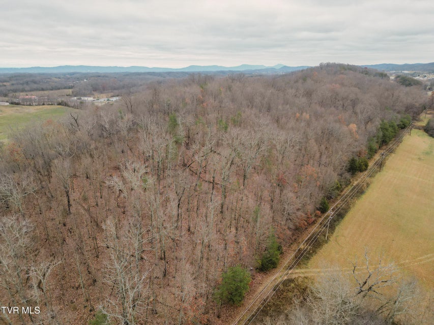 Photo #5: Lot 2 Old Knoxville Highway