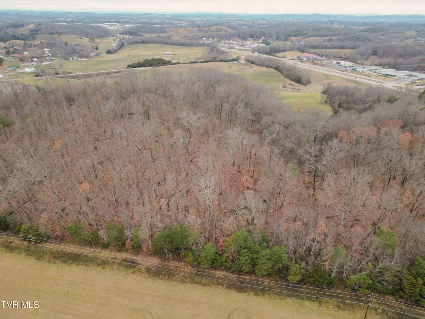 Photo #7: Lot 2 Old Knoxville Highway