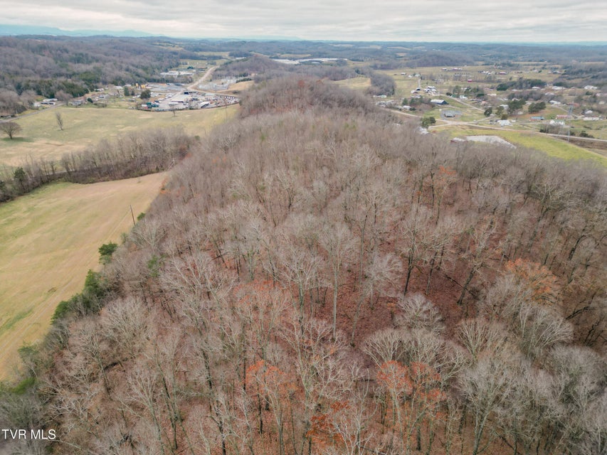 Photo #9: Lot 2 Old Knoxville Highway