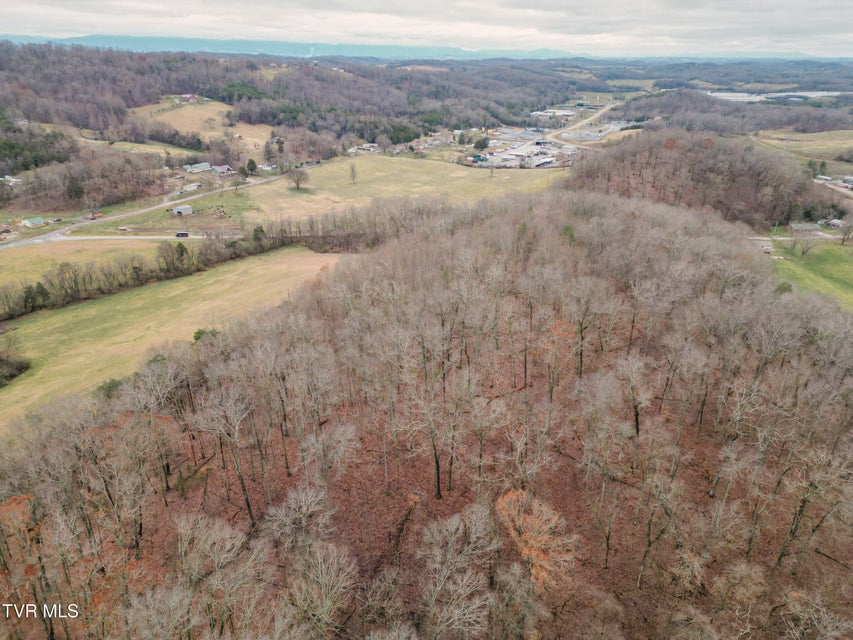 Photo #10: Lot 2 Old Knoxville Highway