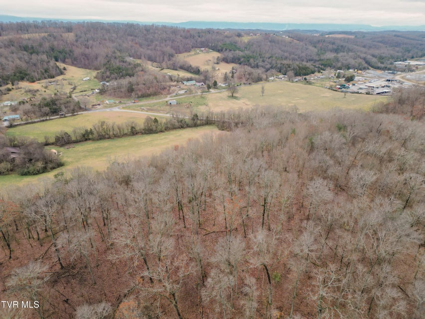 Photo #11: Lot 2 Old Knoxville Highway