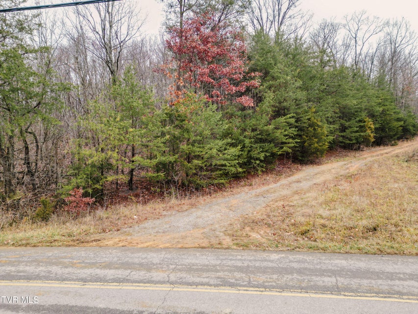 Photo #15: Lot 2 Old Knoxville Highway