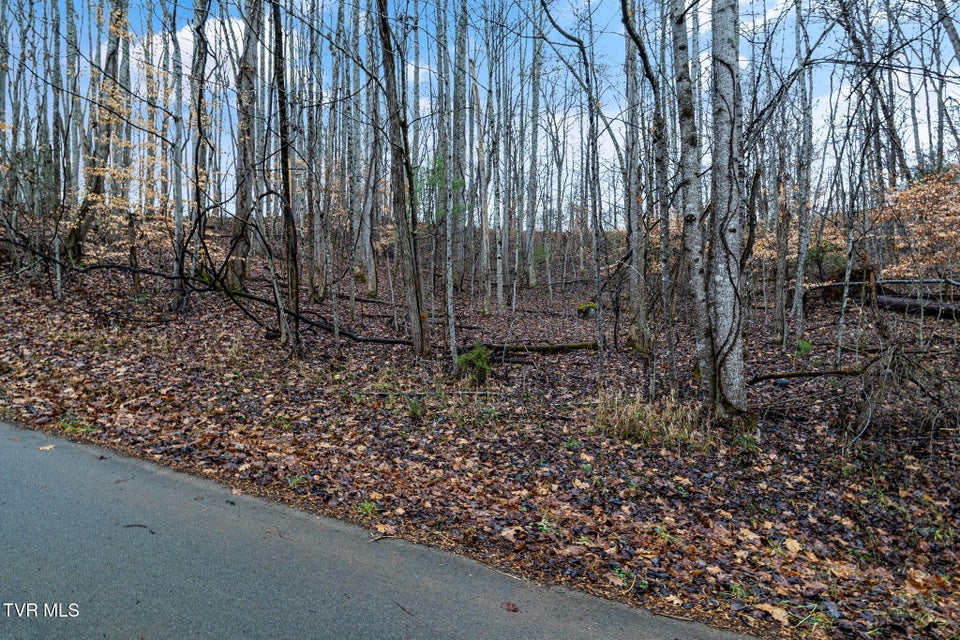 Photo #4: Lot 71 Golf Course Road