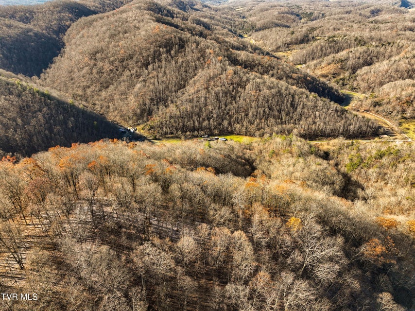 Photo #7: 18353 Mccall Gap Road