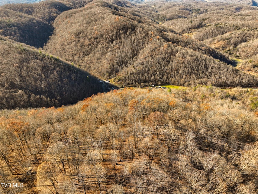 Photo #8: 18353 Mccall Gap Road