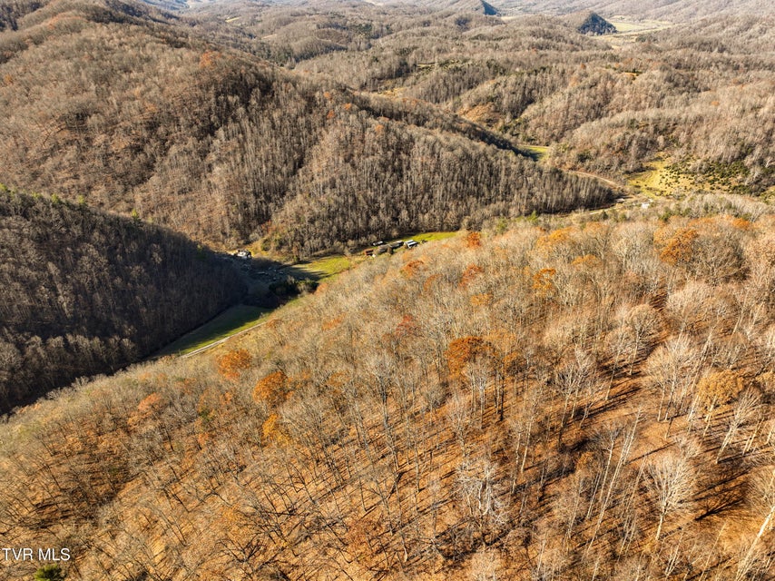 Photo #9: 18353 Mccall Gap Road