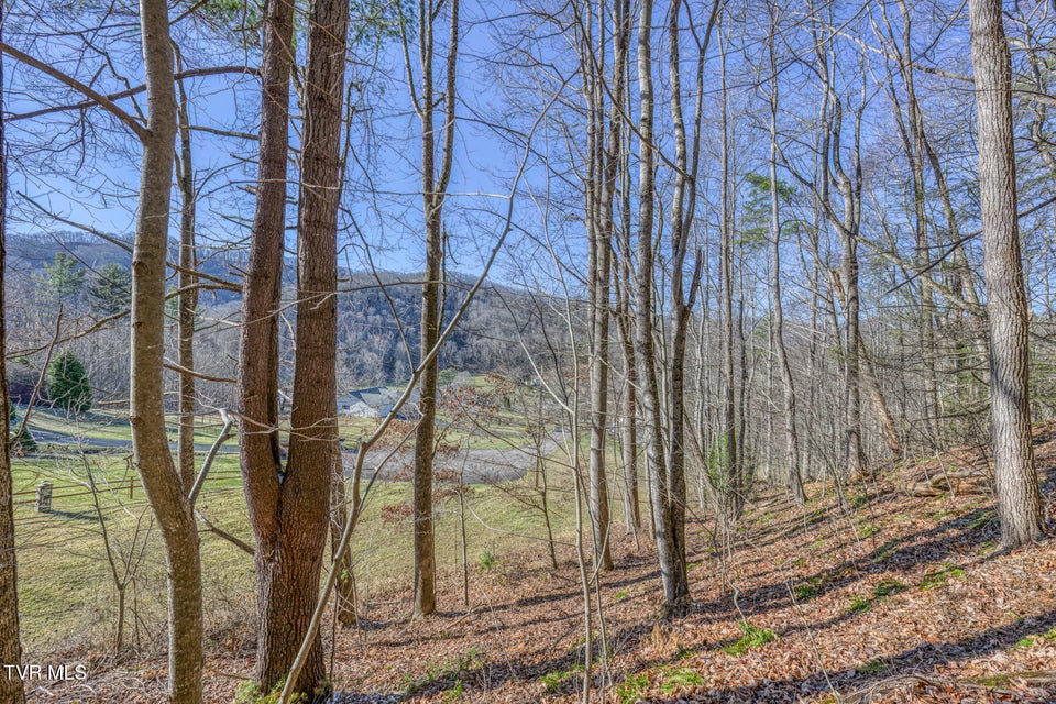 Photo #7: 117 Buckner Drive