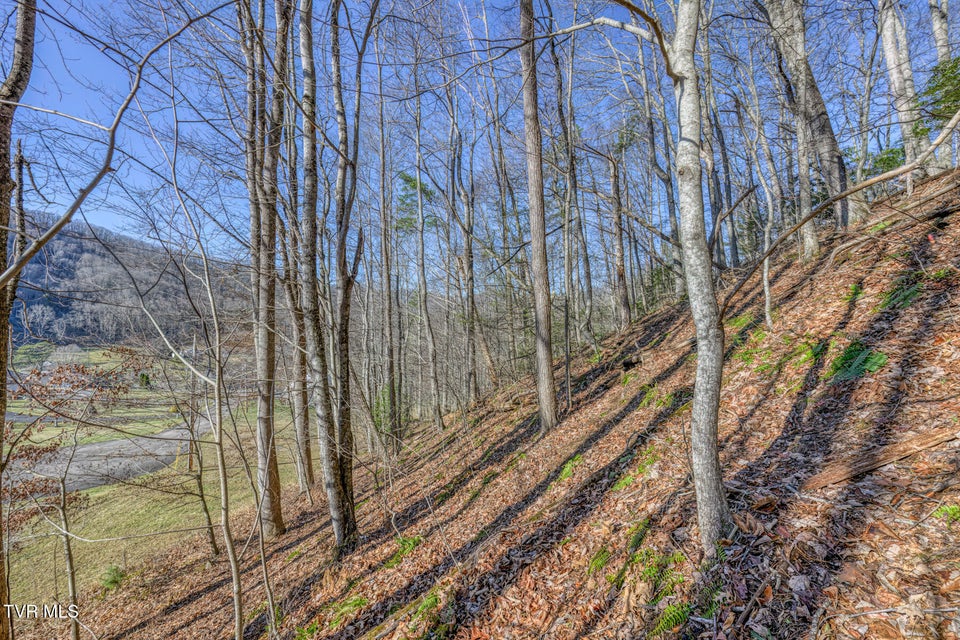 Photo #8: 117 Buckner Drive