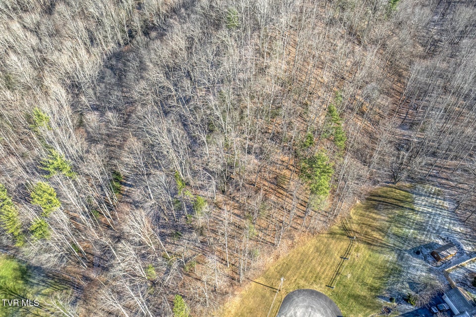 Photo #9: 117 Buckner Drive
