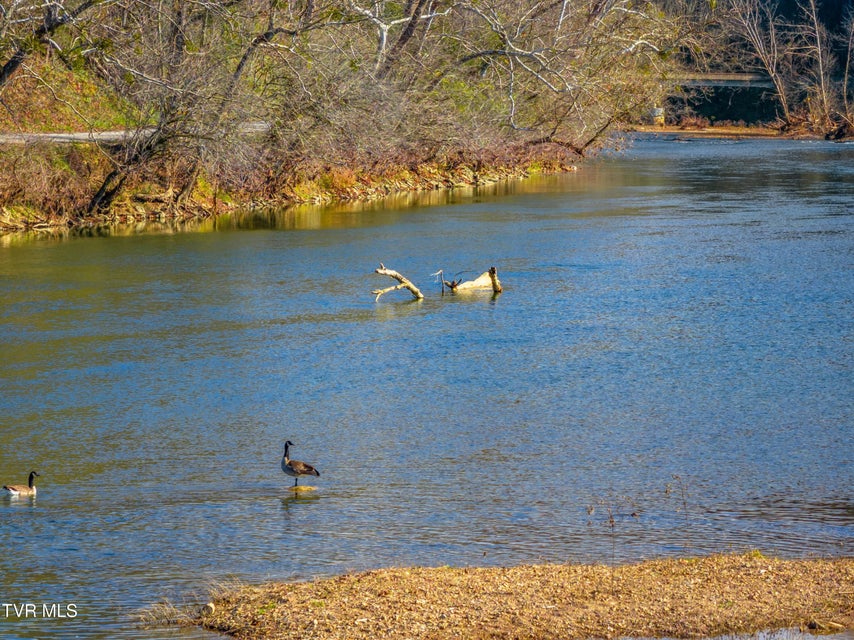 Photo #30: 0 Horton Ford Road