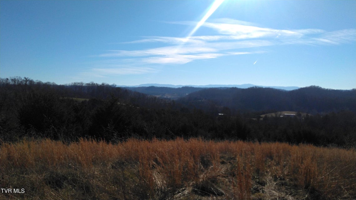 Photo #7: 0000 Roaring Fork Road
