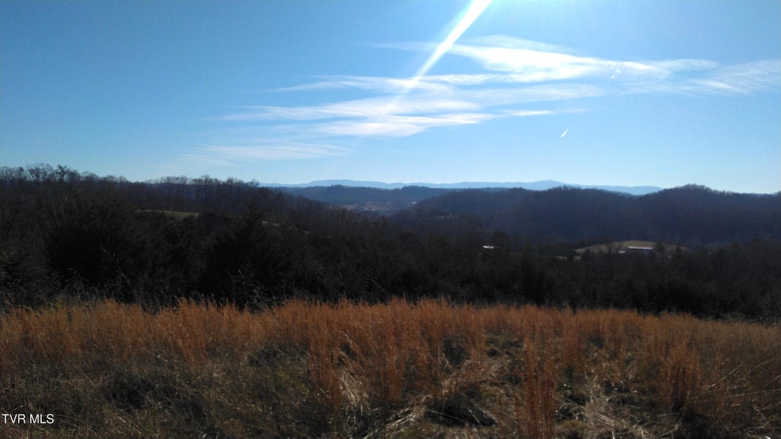 Photo #6: 0000 Roaring Fork Road