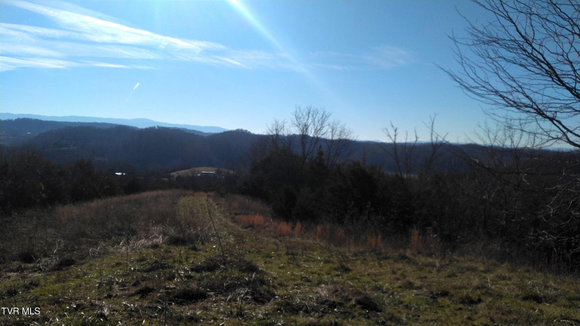 Photo #5: 0000 Roaring Fork Road