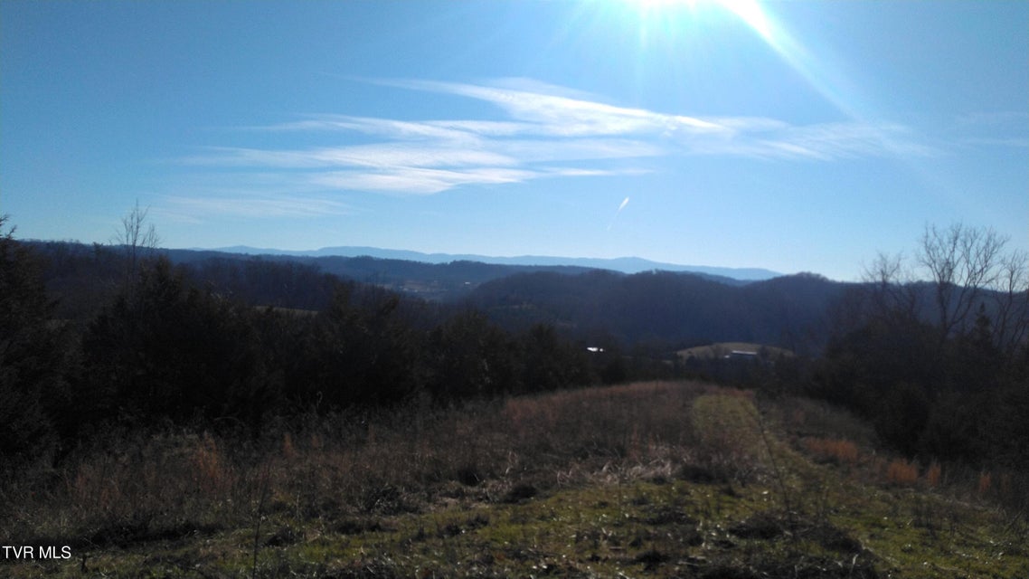 Photo #4: 0000 Roaring Fork Road