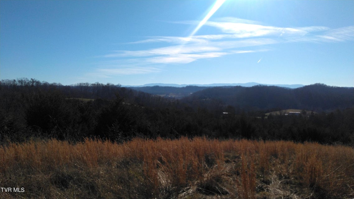 Photo #3: 0000 Roaring Fork Road