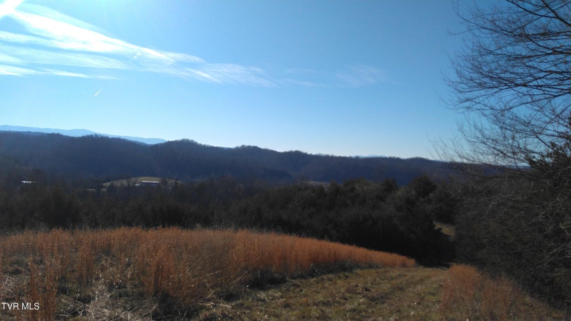Photo #2: 0000 Roaring Fork Road