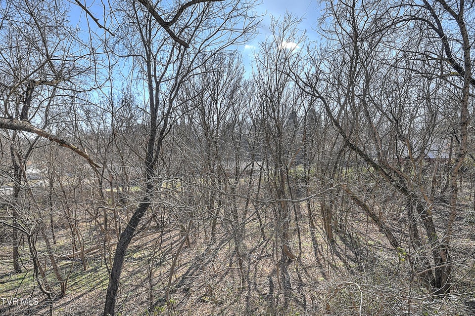 Photo #43: 101 Lancer Road