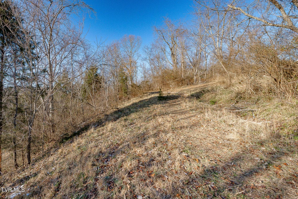 Photo #14: 0 Stonegate Road